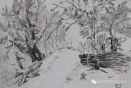 mmexport1495152278392